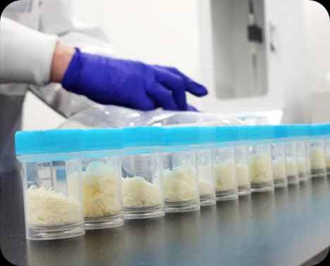 Freeze-dried milk samples prepared for Miris macronutrient analysis in the Milkify lab